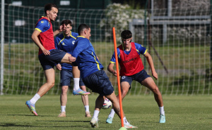 Foto: Nogometni savez BiH / Arjan Malić