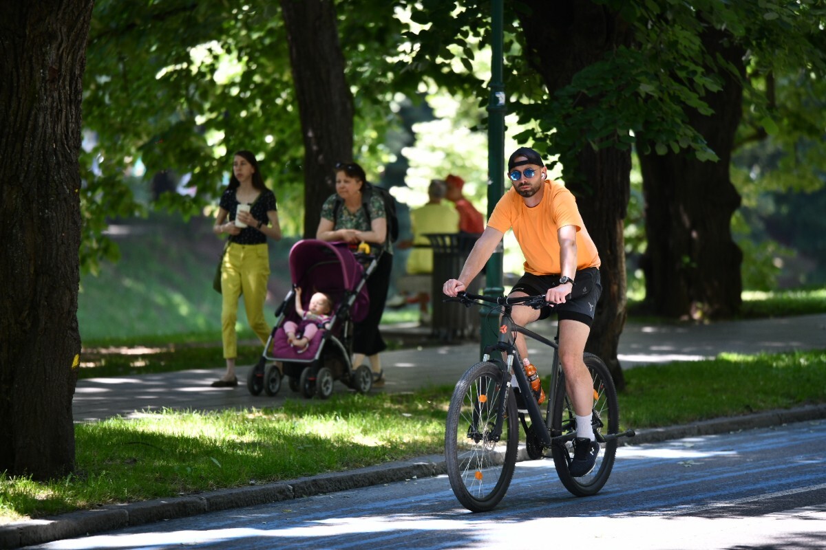 Vilsonovo šetalište