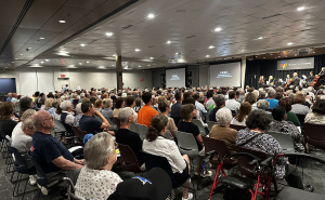 Foto: Ustupljene fotografije / Simfonijski orkestar St. Louis obilježio 30. godišnjicu genocida u Srebrenici