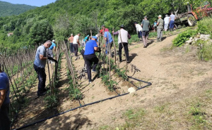Foto: Facebook / Radna akcija u selu kod Konjica