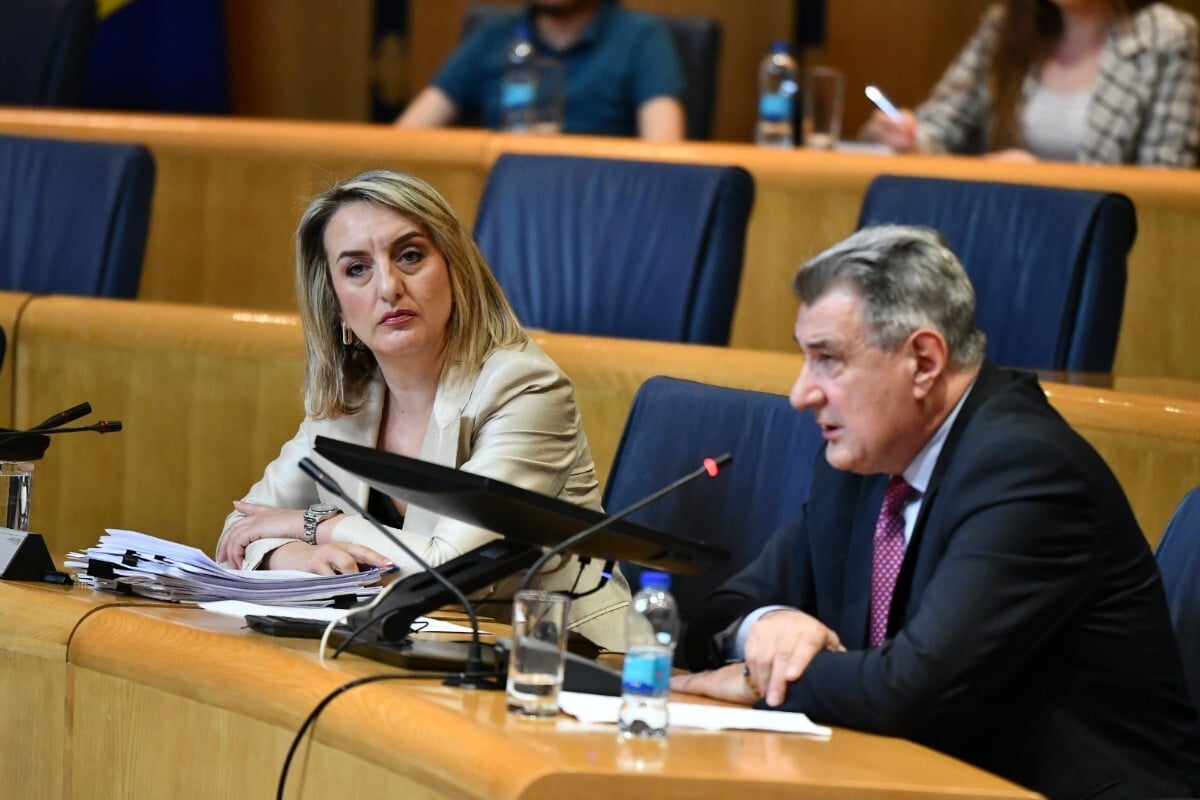 Javno saslušanje Pravobranilaca