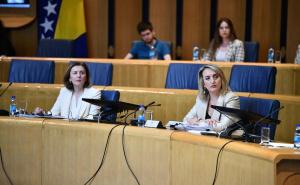Foto: A. K. / Radiosarajevo.ba / Javno saslušanje Pravobranilaca