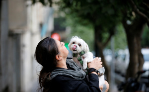 Foto: Anadolija / Zabranjeno šetati pse
