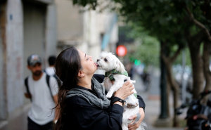Foto: Anadolija / Zabranjeno šetati pse