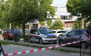 Foto: AA / Masakr u Grazu