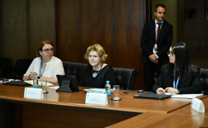 Foto: A. K. / Radiosarajevo.ba / Zajednička komisija za europske integracije