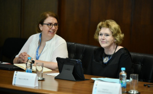 Foto: A. K. / Radiosarajevo.ba / Zajednička komisija za europske integracije