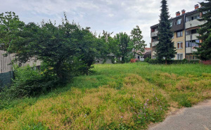 Foto: Dž. K. / Radiosarajevo.ba / Zarastao park na Dobrinji 1