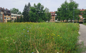 Foto: Dž. K. / Radiosarajevo.ba / Zarastao park na Dobrinji 1