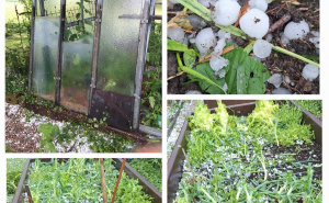 Foto: Vrijeme.net / Jako nevrijeme pogodilo je grad Dornbirn u Austriji