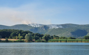 Foto: Civilna zaštita ZHK / Gašenje požara na lokaciji Šušnjari