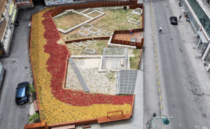 Foto: Press / Završeno hortikulturno uređenje Arheološkog parka Kalin-hadži Alijine džamije