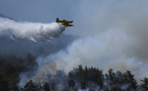 FOTO: AA / Požar, Izmir