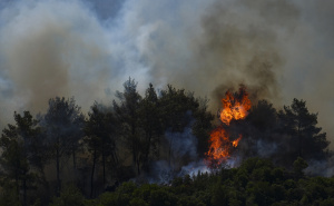 FOTO: AA / Požar, Izmir