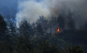 FOTO: AA / Požar, Izmir