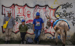 FOTO: AA / Trka magaraca