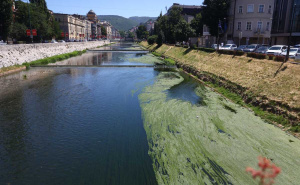 Foto: Dž. K. / Radiosarajevo.ba / Miljacka, visoke temperature