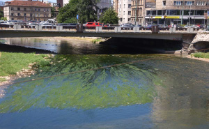 Foto: Dž. K. / Radiosarajevo.ba / Miljacka, visoke temperature