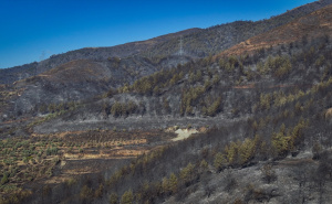 Foto: AA / Požari u Turskoj pod kontrolom