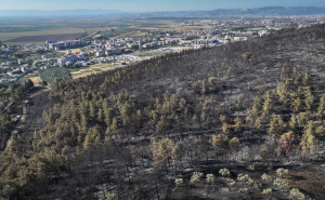 Foto: AA / Požari u Turskoj pod kontrolom