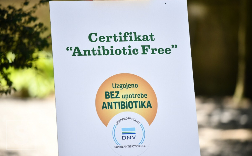 Perutnini Ptuj uručen certifikat 'uzgojeno bez upotrebe antibiotika'