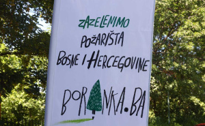 Foto: Dž. K. / Radiosarajevo.ba / Predstavljena BORANKA, projekat pošumljavanja požarišta u BiH
