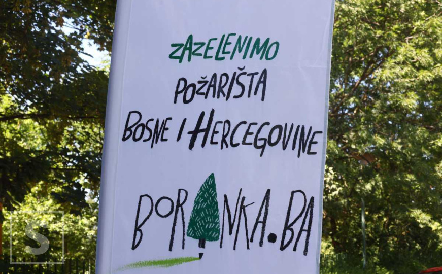 Predstavljena BORANKA, projekat pošumljavanja požarišta u BiH