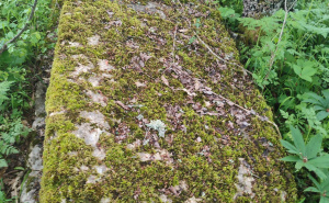Foto: Bassania / Neevidentirane nekropole u Donjim Babinama
