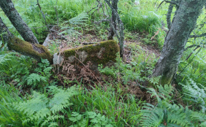 Foto: Bassania / Neevidentirane nekropole u Donjim Babinama