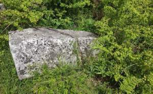 Foto: Bassania / Neevidentirane nekropole u Donjim Babinama