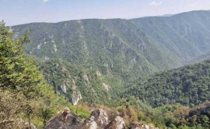 Foto: Općina Srebrenica / Požar kod Srebrenice pod kontrolom