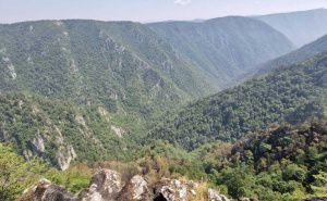 Foto: Općina Srebrenica / Požar kod Srebrenice pod kontrolom