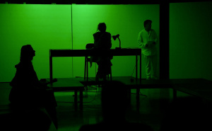 Foto: Grad Sarajevo / Performans "DNK, BROJ"