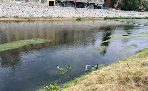 FOTO: Radiosarajevo.ba / Električni romobili u Miljacki