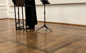 Foto: Ustupljene fotografije / Marš mira u Munchenu