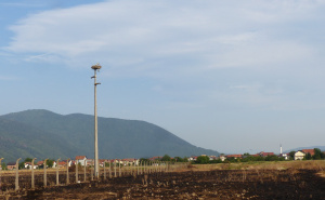 Foto: Birds of Sarajevo / Mlade rode u Hrasnici