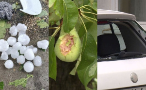 Foto: Kolaž / Šteta nastala od nevremena u Brčkom