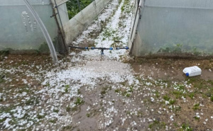 Foto: Agroklub / Katastrofalne posljedice nevremena u Brčkom