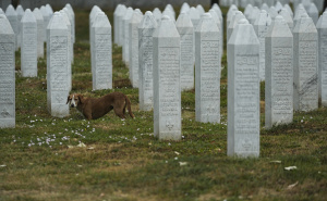 Foto: AA / U Potočarima iskopani mezari za sedam žrtava genocida u Srebrenici