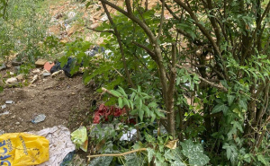 Foto: Zabrinuti građani naselja Gorica, općina Centar, metropola Sarajevo / Smeće u Sarajevu