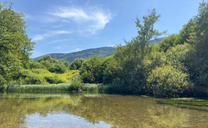 Foto: Anadolija / Plaža, Vrelo Bosne