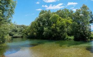 Foto: Anadolija / Plaža, Vrelo Bosne