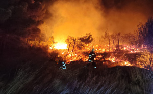 Foto: Vatrogasci Supetar / Požar u Hrvatskoj
