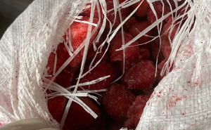 Foto: Federalna inspekcija / Federalna sanitarna inspekcija zabranila uvoz 22 tone zamrznutih jagoda i 96 kg sladoleda od pistacije