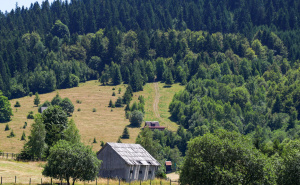Foto: Fena / Prvi turistički voz Sarajevo-Vareš