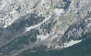 Foto: AA / Park prirode Blidinje