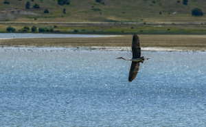 Foto: AA / Park prirode Blidinje