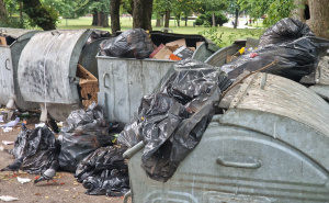 Foto: A.K./Radiosarajevo.ba / Smeće u jednom od najljepših parkova u Sarajevu