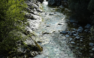 Foto: AA / Rječica Drežanka