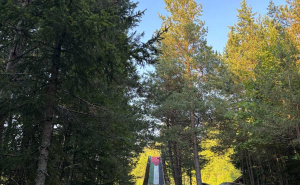 FOTO: Radiosarajevo.ba / Palestinska zastava na Bob stazi, Trebević